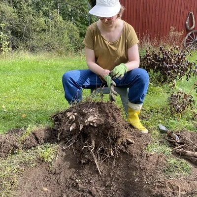 NiinaK
